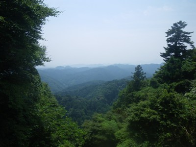 1号路(表参道) かすみ台