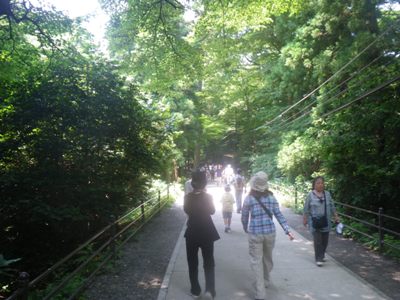 1号路(表参道)