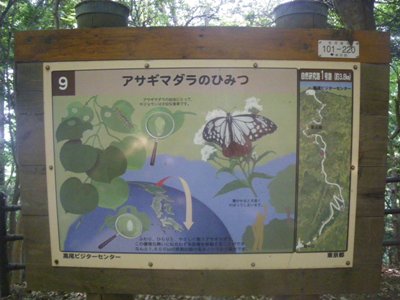 薬王院 表参道 道標#9
