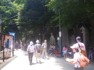 薬王院 表参道 権現茶屋