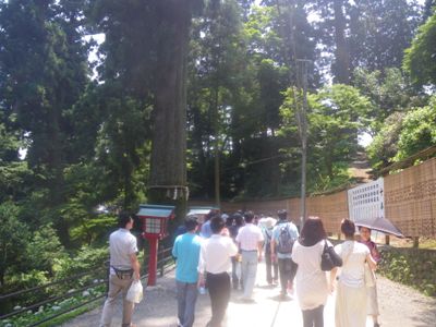 薬王院 表参道 杉木立