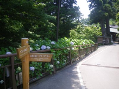 薬王院 仁王門への階段下に戻る