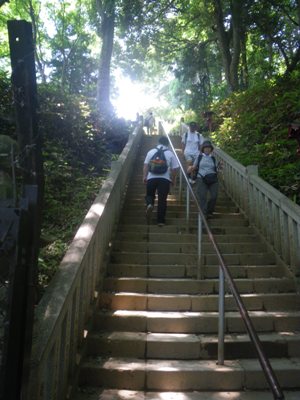 薬王院 奥の院への階段を上る