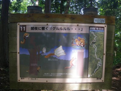 登山道 1号路 道標#11