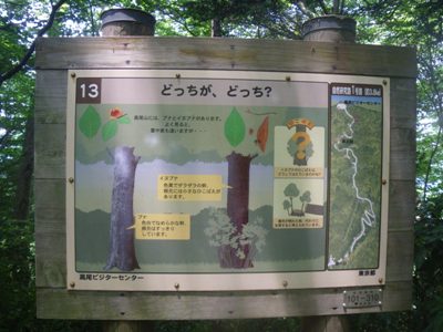 登山道 1号路 道標#13