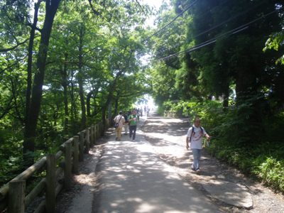 登山道 1号路