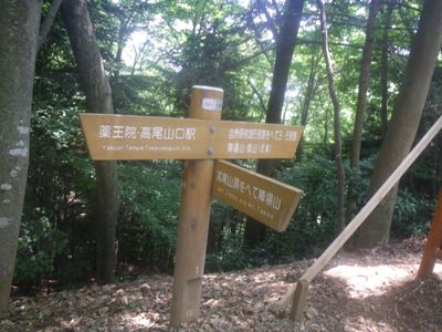 登山道 1号路 左折して薬王院へ