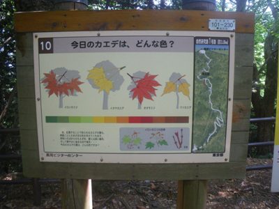 薬王院 表参道 道標#10