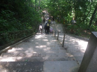 薬王院 表参道 百八の石の階段