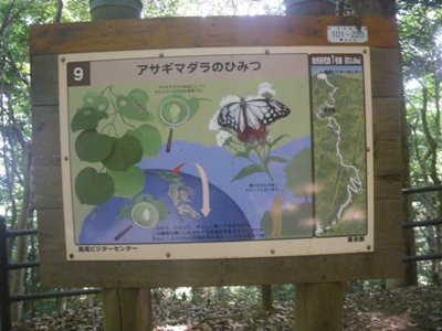 薬王院 表参道 道標#9