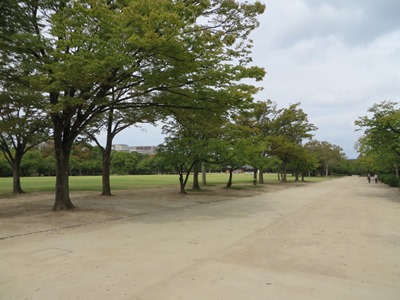 大阪城公園 西の丸庭園 東の遊歩道に沿って北上