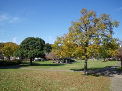新本牧公園
