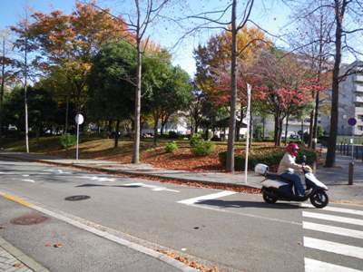 左折し、本牧せせらぎ公園へ