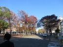 傳񋴒ʂ@tAgt₫؂k