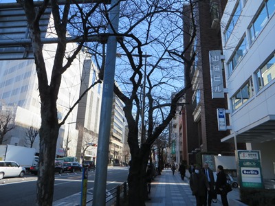 靖国通り 坂を上って東進