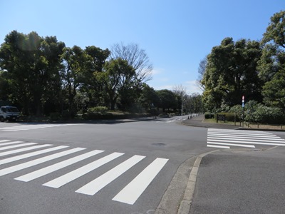 北の丸公園 科学技術館前からメイン道路を渡り千鳥ヶ淵緑道へ