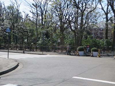 北の丸公園 道なりに左折
