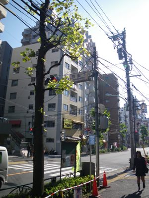 旧白山通り 白山下交差点