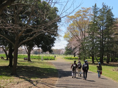 昭和記念公園 みんなの原っぱに向かう
