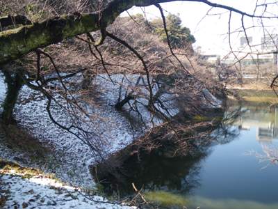北の丸公園 田安門 千鳥ヶ淵