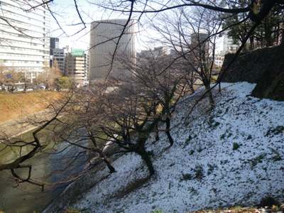北の丸公園 田安門 牛ヶ淵