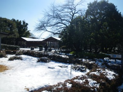 北の丸公園 新雪の大芝生広場