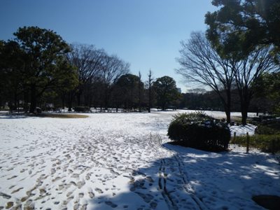 北の丸公園 新雪の大芝生広場