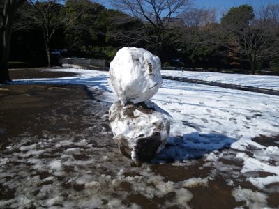 北の丸公園 新雪の大芝生広場