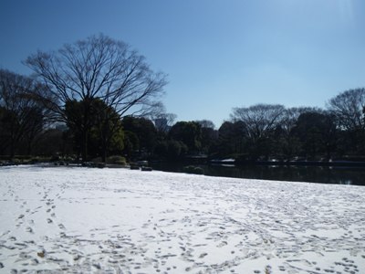 北の丸公園 新雪の大芝生広場