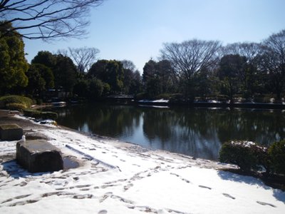 北の丸公園 新雪の大芝生広場
