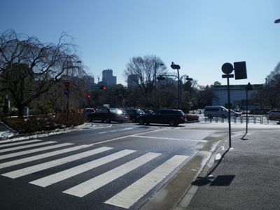 北の丸公園 突き当たりで左折、代官町通りへ