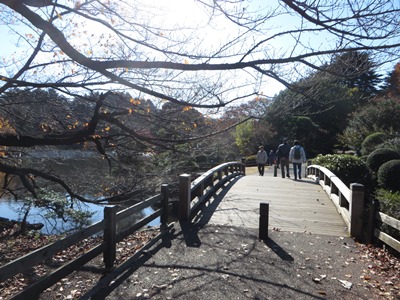 新宿御苑 中の池 レストハウス手前の橋