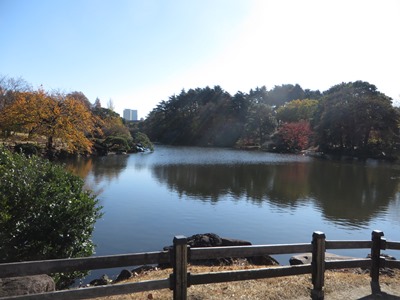 新宿御苑 中の池 レストハウス手前の橋からの風景