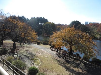 新宿御苑 中の池 レストハウスからの風景