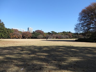 新宿御苑 中の池 北側の散策路を東進 イギリス風景式庭園
