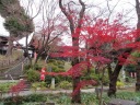 @ʂ@ωEG̍gt̃~W