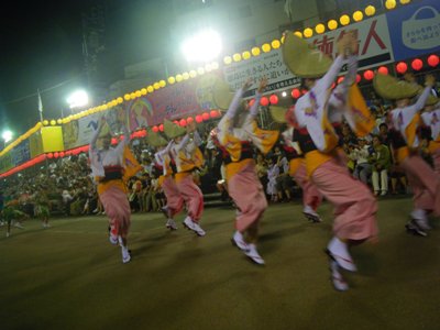 阿波踊り 南内町演舞場 若獅子連