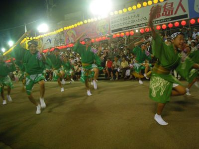 阿波踊り 南内町演舞場 若獅子連