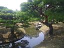栗林公園　ぼたん石と見返り獅子