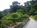 栗林公園　南湖に向かう