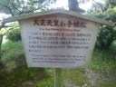 栗林公園　大正天皇お手植松