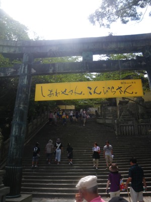 䗅{@