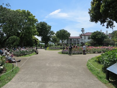 港の見える丘公園 入口から右折してローズガーデンへ
