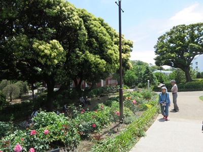 港の見える丘公園 ローズガーデンから大佛次郎記念館へ