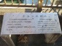 Nʂ@ݔNkl猩F