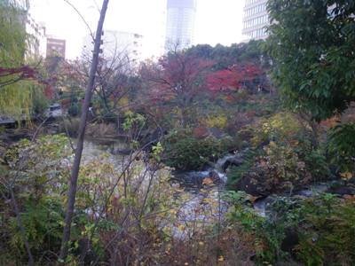 東京ミッドタウン 檜町公園