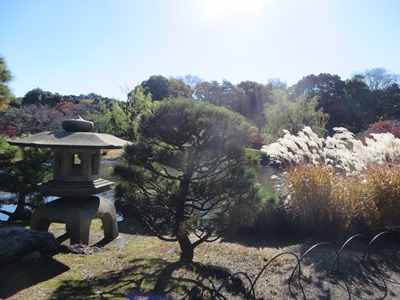 新宿御苑 日本庭園 上の池 西端にある橋を渡る 名物のススキ