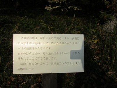 c@䉑@̊ے뉀@̊ێGؗ