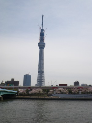 隅田公園西岸から見える東京スカイツリー
