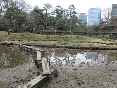 小石川後楽園 八つ橋、杜若(かきつばた)